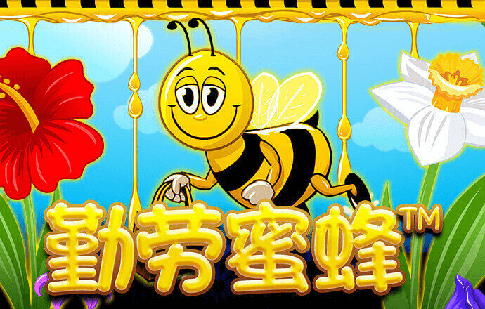 开云手机版